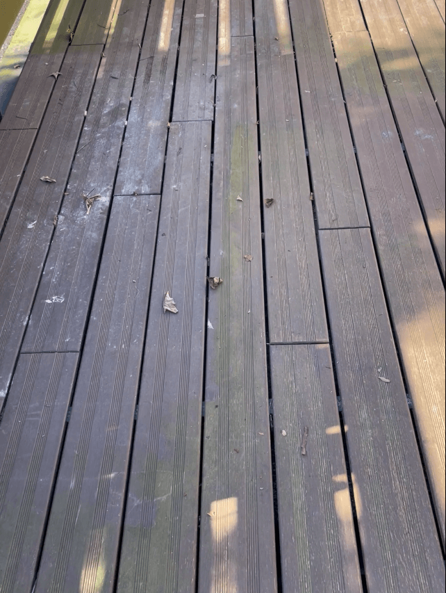 Video Die Bambusdiele Vista,  Zustand zwei Jahre ohne Pflege.