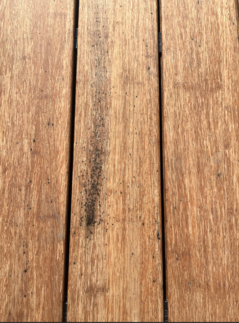 wie entferne ich Schimmel von Bambusdielen.