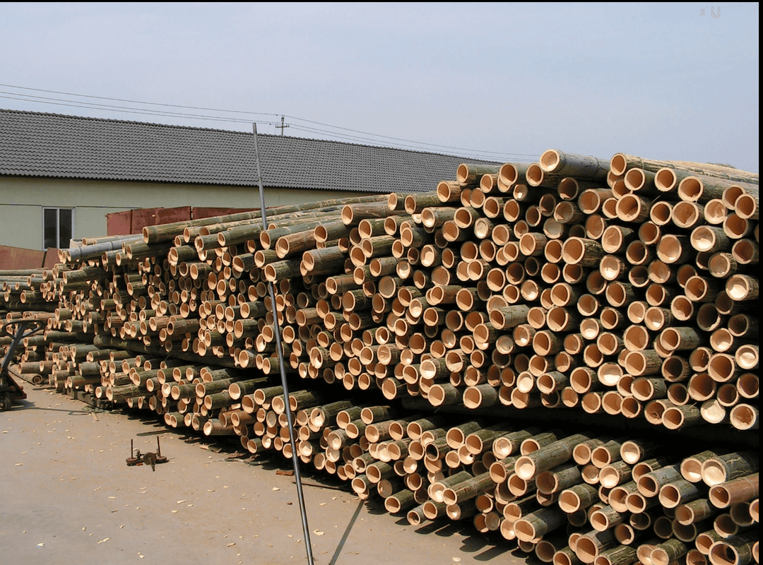 Bambushalme warten auf die weitere Verarbeitung.